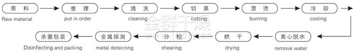 脫水蔬菜帶式干燥工藝流程